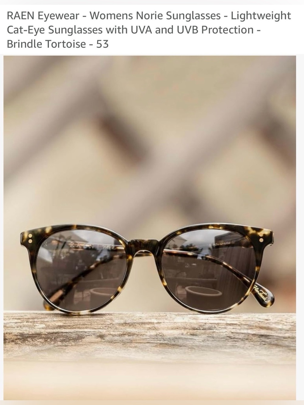 RAEN Sunglasses with Gold Script Accent on Black Temple